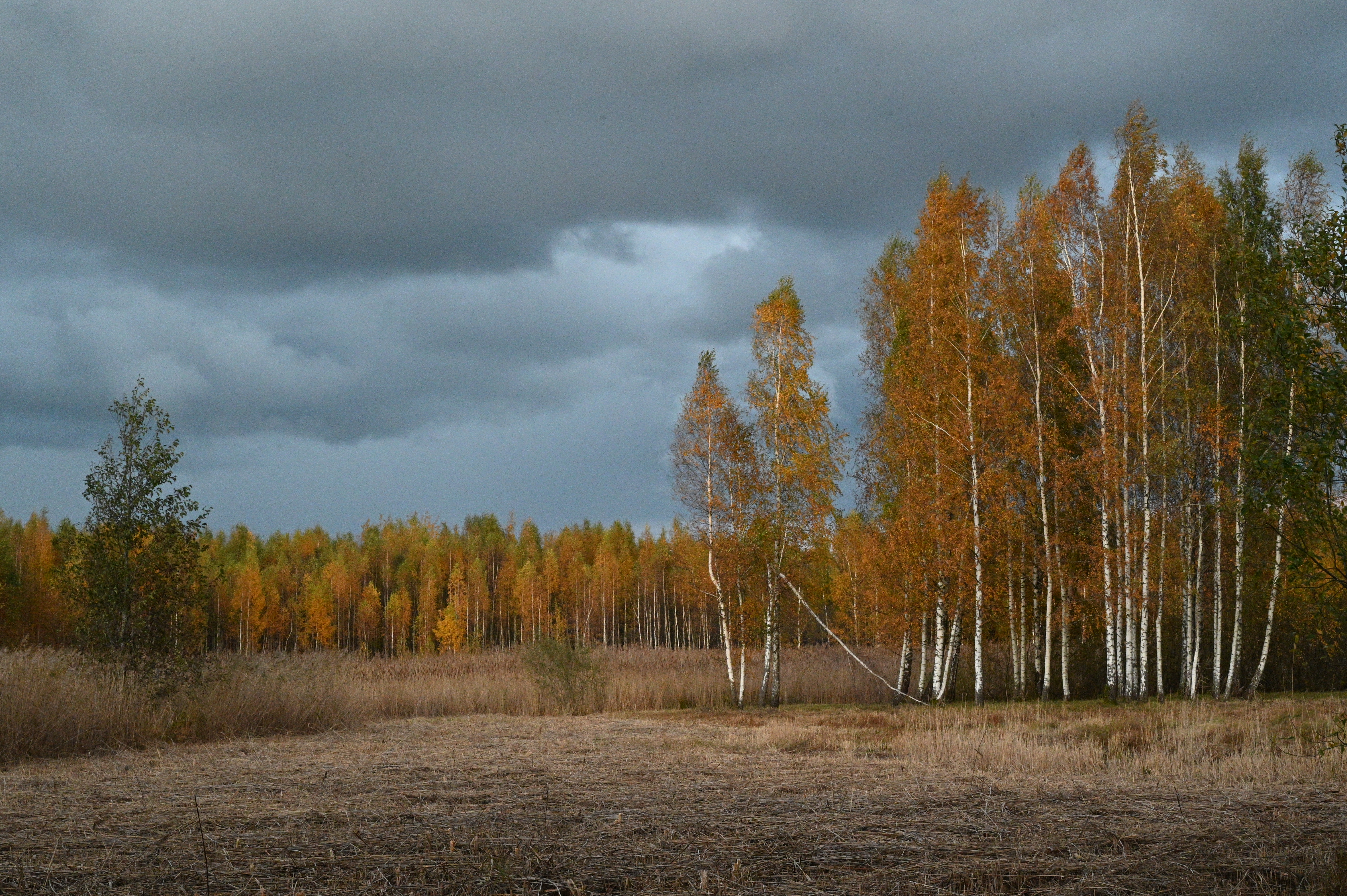 2025/10/18 - walk/DSC_0541.JPG